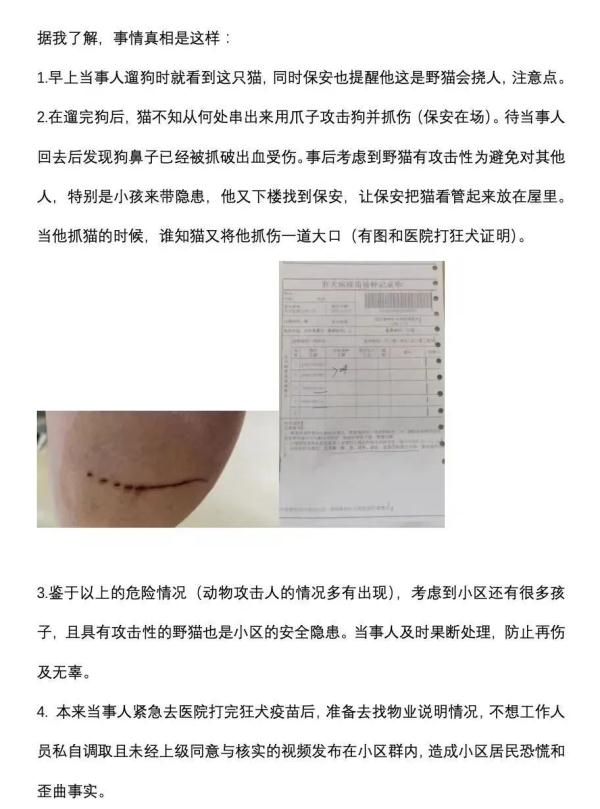 上海因疫情走红的“鸡排猫”疑遭虐杀？警方介入