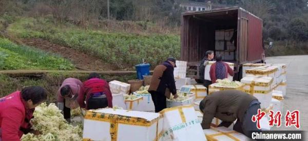 打通乡村物流堵点：一条供应链如何激活乡村经济？