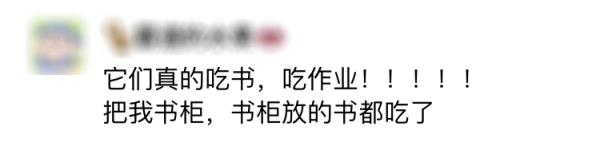又到白蚁高发期！“拆家”的白蚁如何预防？快收藏→