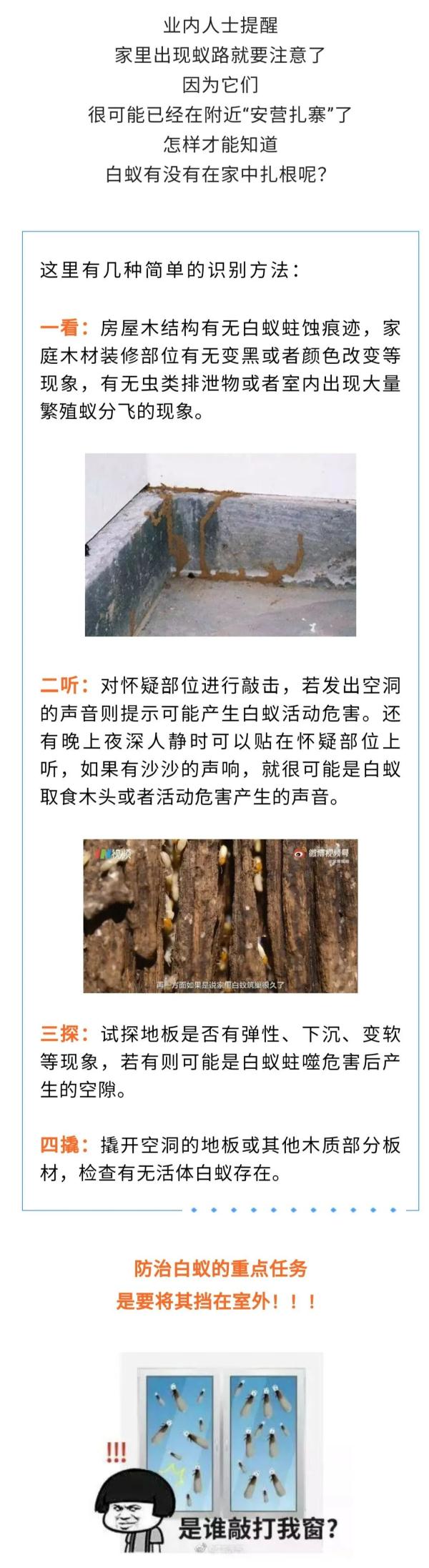 又到白蚁高发期！“拆家”的白蚁如何预防？快收藏→