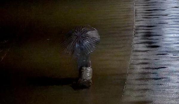 偷鸡，偷土豆？捉！