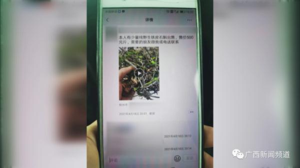 500元一斤？！柳州一男子售卖国家保护植物被查