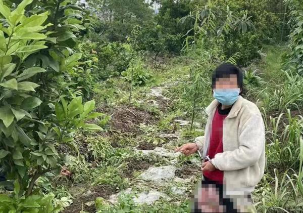 偷鸡，偷土豆？捉！