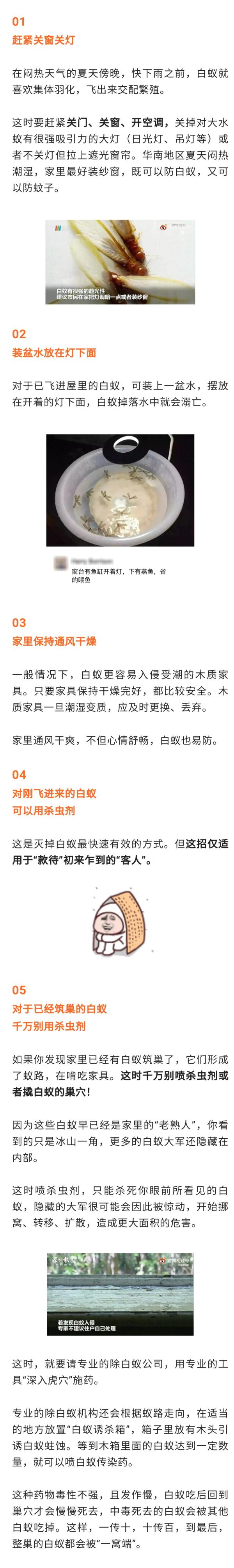 又到白蚁高发期！“拆家”的白蚁如何预防？快收藏→