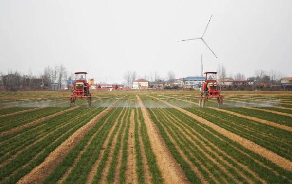 极端高温、限制出口……多国打响“粮食保卫战”! 极端高温、限制出口……多国打响“粮食保卫战”!