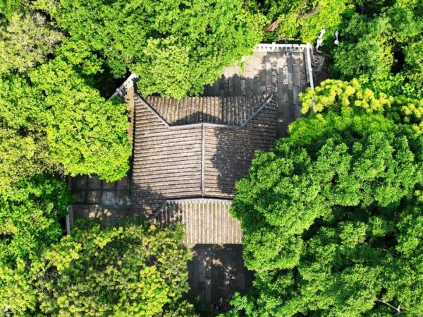 大美！800多年了，依然是“顶流”