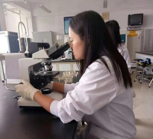 厉害!云南一高校同宿舍7名小姐姐考研全员“上岸”! 厉害!云南一高校同宿舍7名小姐姐考研全员“上岸”!