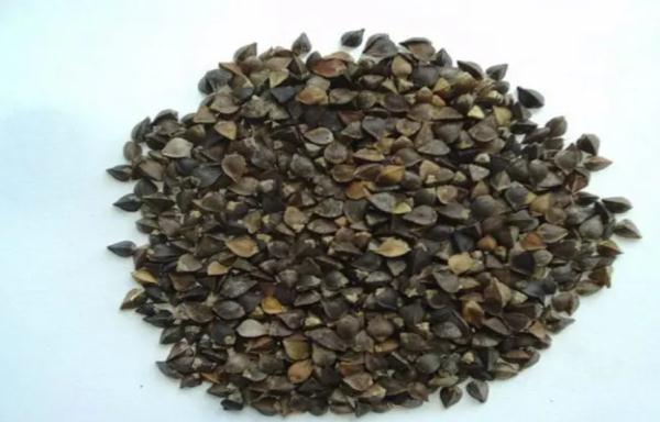 别再吃错主食了!这些“黄金主食”煮饭泡茶加一点,远离慢性病 别再吃错主食了!这些“黄金主食”煮饭泡茶加一点,远离慢性病