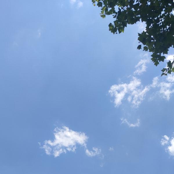 云南全省多地气温超30℃！这些地区有大、暴雨！昆明天气→