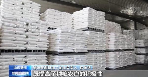 山东德州大力发展优质小麦订单种植 农户与企业实现双赢 山东德州大力发展优质小麦订单种植 农户与企业实现双赢