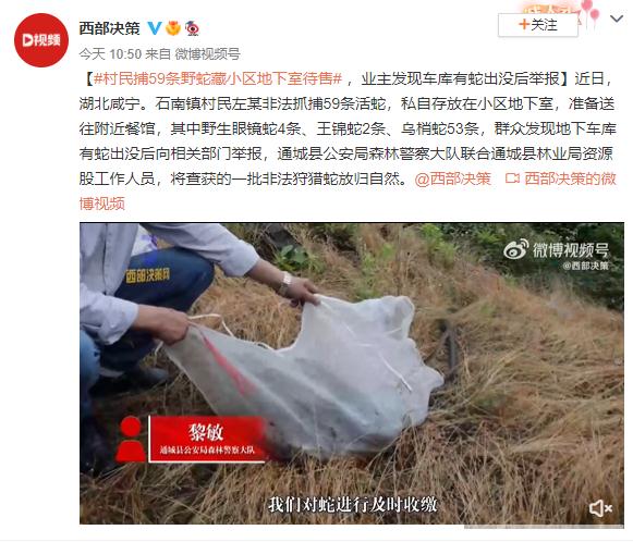 车库里有蛇出没?村民捕59条野蛇藏小区地下室 车库里有蛇出没?村民捕59条野蛇藏小区地下室