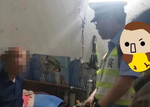 “八旬”撞“七旬”后逃逸，洛阳交警14小时快速侦破