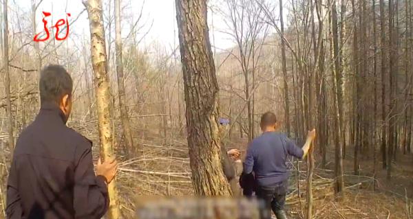 嫌碍事,竟破坏89株保护植物,抓! 嫌碍事,竟破坏89株保护植物,抓!