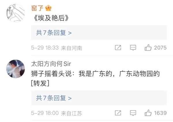 笑喷!动物园狮子留了齐刘海,冲上热搜 笑喷!动物园狮子留了齐刘海,冲上热搜