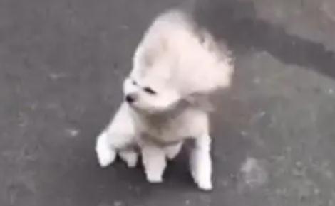 安徽发布雷雨大风黄色预警信号!出行“风险”怎么防?看这里! 安徽发布雷雨大风黄色预警信号!出行“风险”怎么防?看这里!