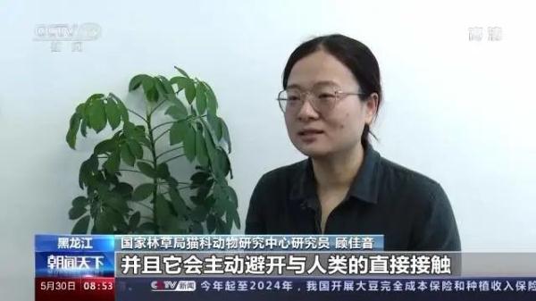 放归一年间,“完达山1号”干了这些事→ 放归一年间,“完达山1号”干了这些事→