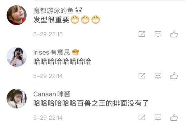 笑喷!动物园狮子留了齐刘海,冲上热搜 笑喷!动物园狮子留了齐刘海,冲上热搜