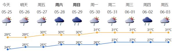 深圳端午假期限外吗？高速免费吗？你想知道的都在这里→