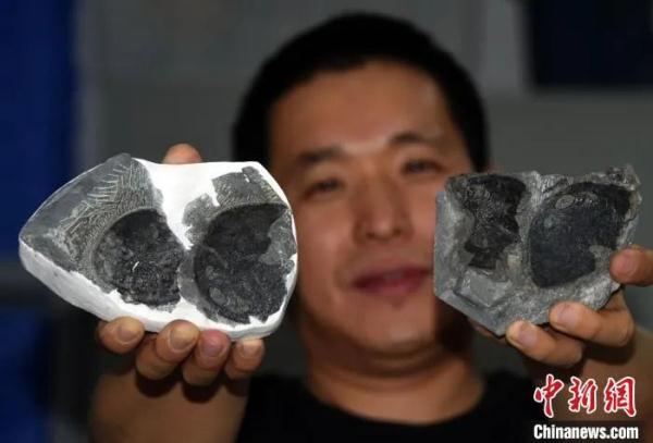 你好像一条鱼啊！