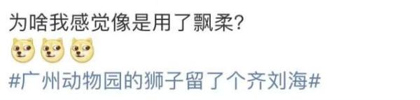 从爆炸头到齐刘海，原来它才是广州动物园里“最靓的仔”……