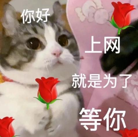 深圳端午假期限外吗？高速免费吗？你想知道的都在这里→