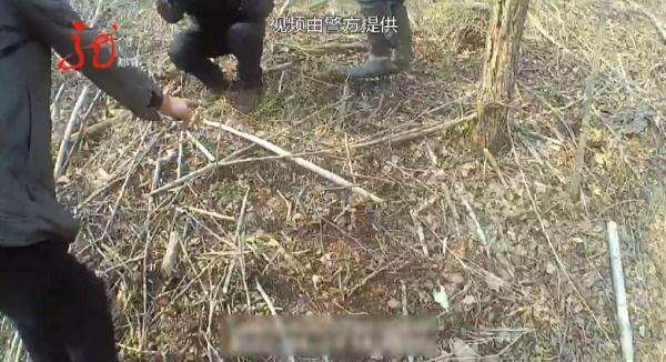 嫌碍事,竟破坏89株保护植物,抓! 嫌碍事,竟破坏89株保护植物,抓!