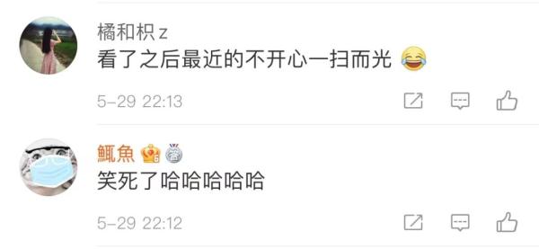 笑喷!动物园狮子留了齐刘海,冲上热搜 笑喷!动物园狮子留了齐刘海,冲上热搜