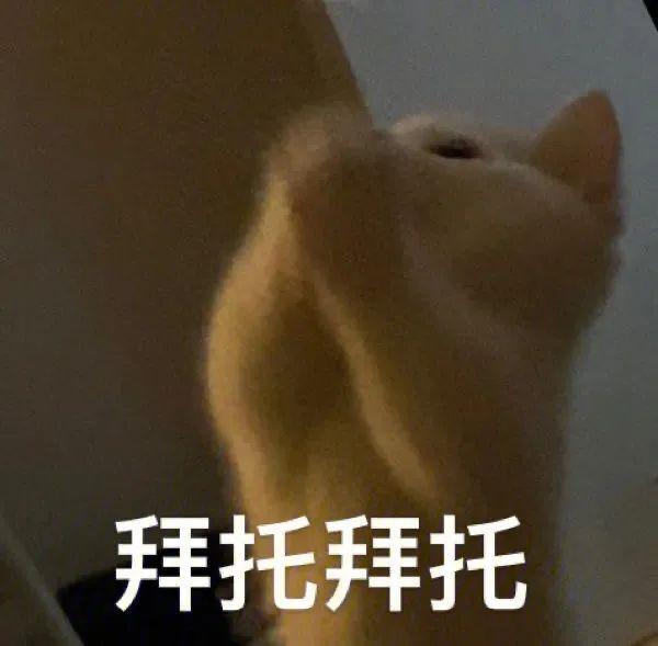 离谱！又闷热又下雨，“阿南”还来了？广东天气反转反转再反转