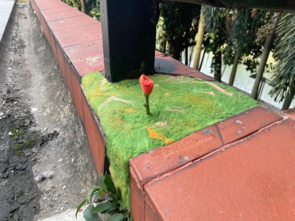 “花花补丁”，极致浪漫！