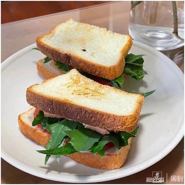 “被封控的日子，我在小区找到86种植物！”在它们身上我看到了生生不息→