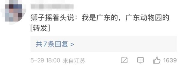 齐刘海狮子火了→