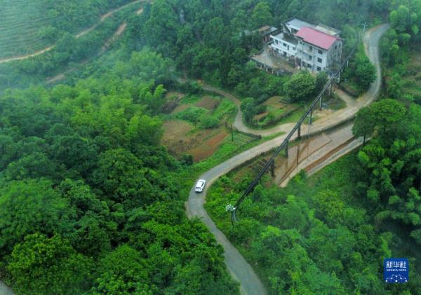 摄作者:胡晨欢全国收获小麦过两成6月1日,在山东省临沂市平邑县卞桥镇