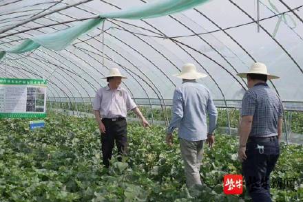 满满9车请院士吃瓜