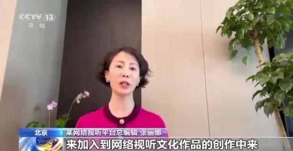 “网标”来了！网络剧片发行许可证明起全面发放
