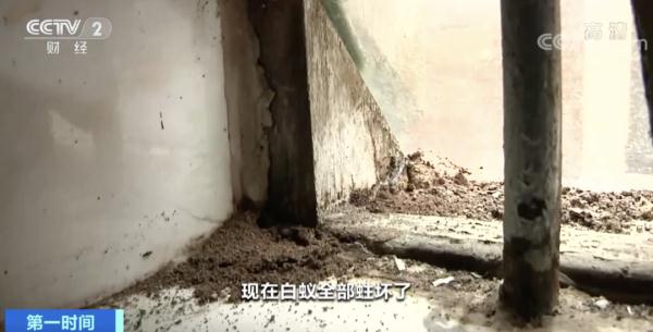 紧急提醒！广东多地爆发，千万不能这样做！