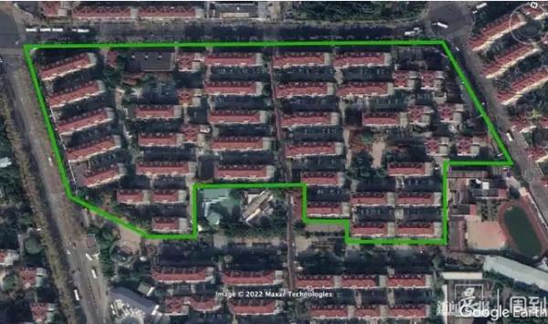 “被封控的日子，我在小区找到86种植物！”在它们身上我看到了生生不息→