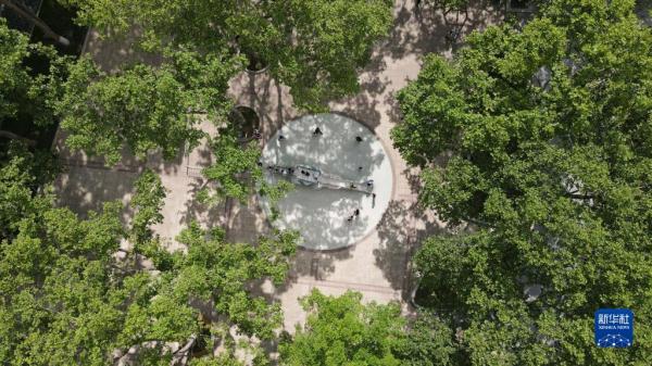 合肥：45岁的“大象”带你穿越时光回到童年