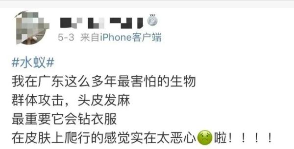 夜袭刘畊宏直播间！广州人被它“支配”的恐惧又来了