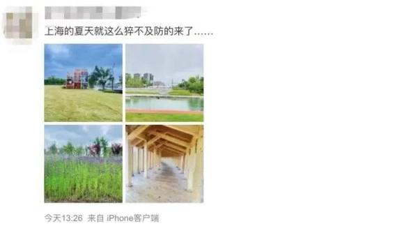 上海昨天大概率入夏!接下来雨水将密集“上岗” 上海昨天大概率入夏!接下来雨水将密集“上岗”