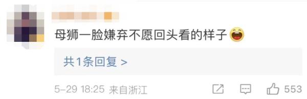 齐刘海狮子火了→