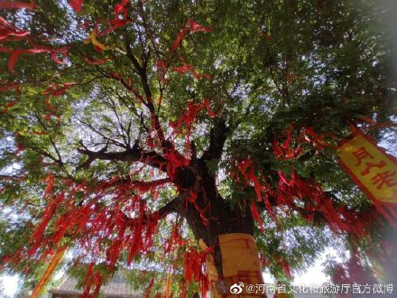 大伾山景区全面恢复开放 大伾山景区全面恢复开放