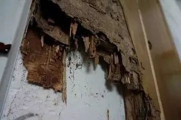 紧急提醒！广东多地爆发，千万不能这样做！