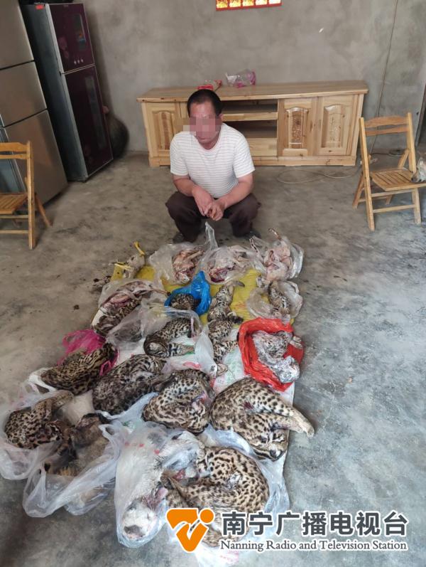 缉枪牵出非法狩猎，警方起获20只野生动物……