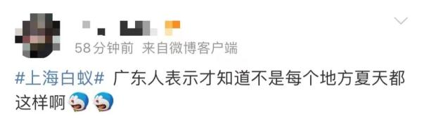 夜袭刘畊宏直播间！广州人被它“支配”的恐惧又来了