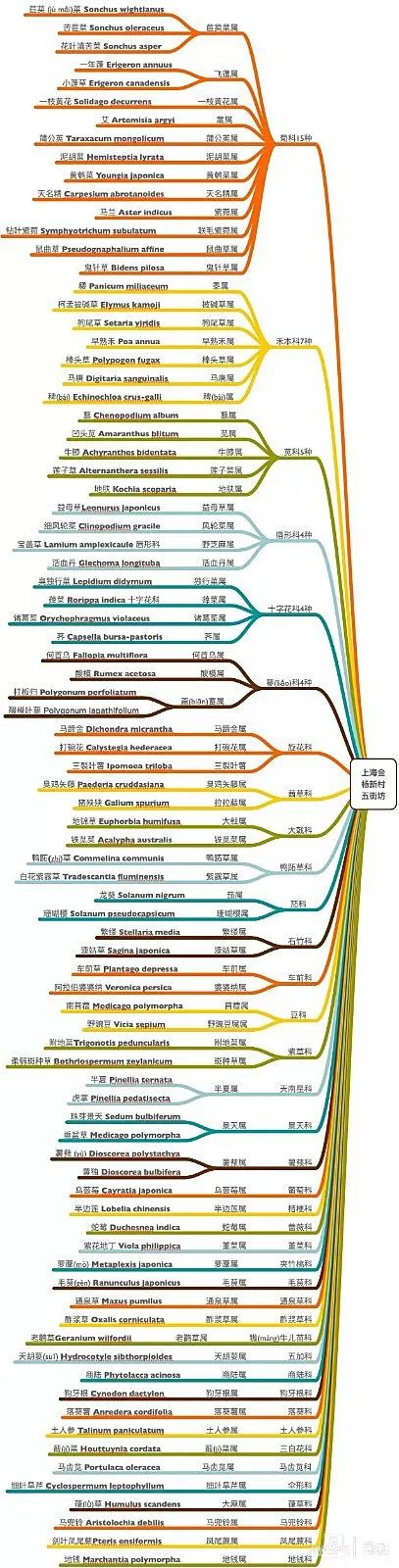 “被封控的日子，我在小区找到86种植物！有些还能吃”