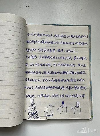 “被封控的日子，我在小区找到86种植物！”在它们身上我看到了生生不息→