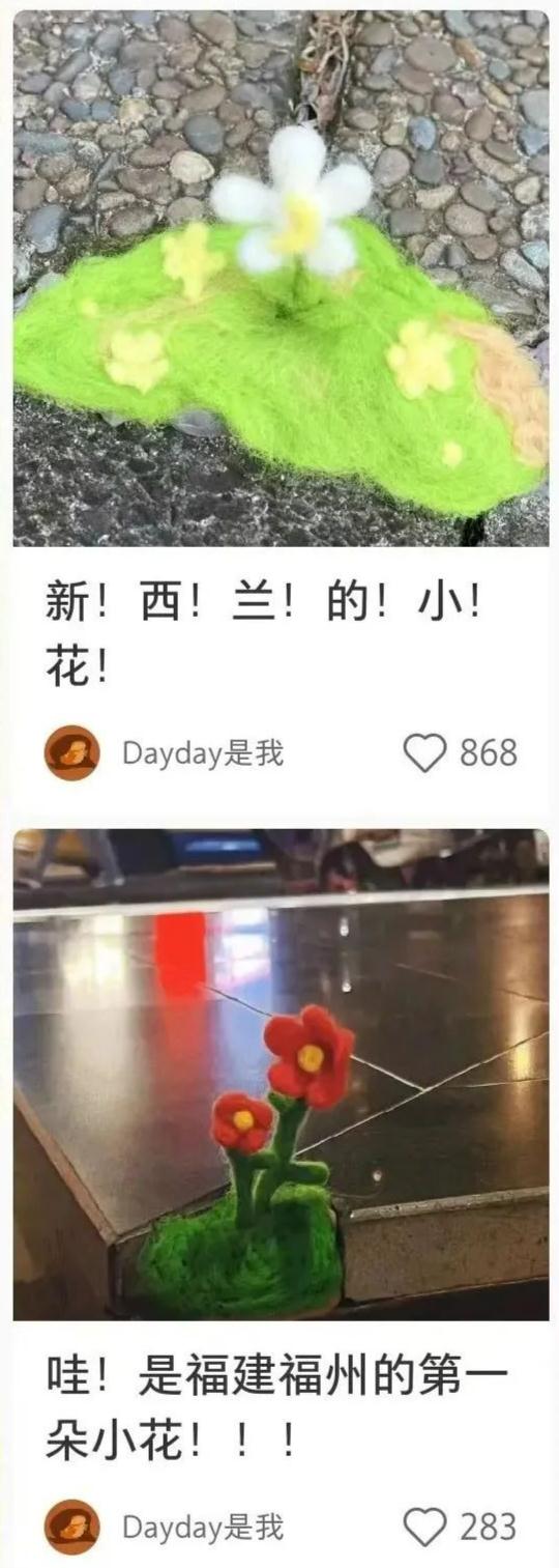 “花花补丁”，极致浪漫！