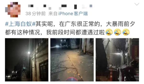 夜袭刘畊宏直播间！广州人被它“支配”的恐惧又来了