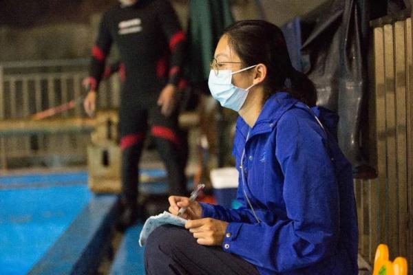 速约！海昌海洋公园免费开放8天，虎鲸宝宝征名