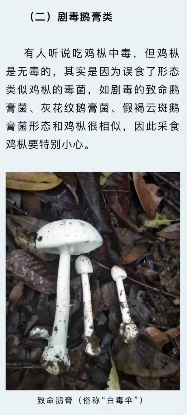 云南省疾控中心发布最新预警 云南省疾控中心发布最新预警